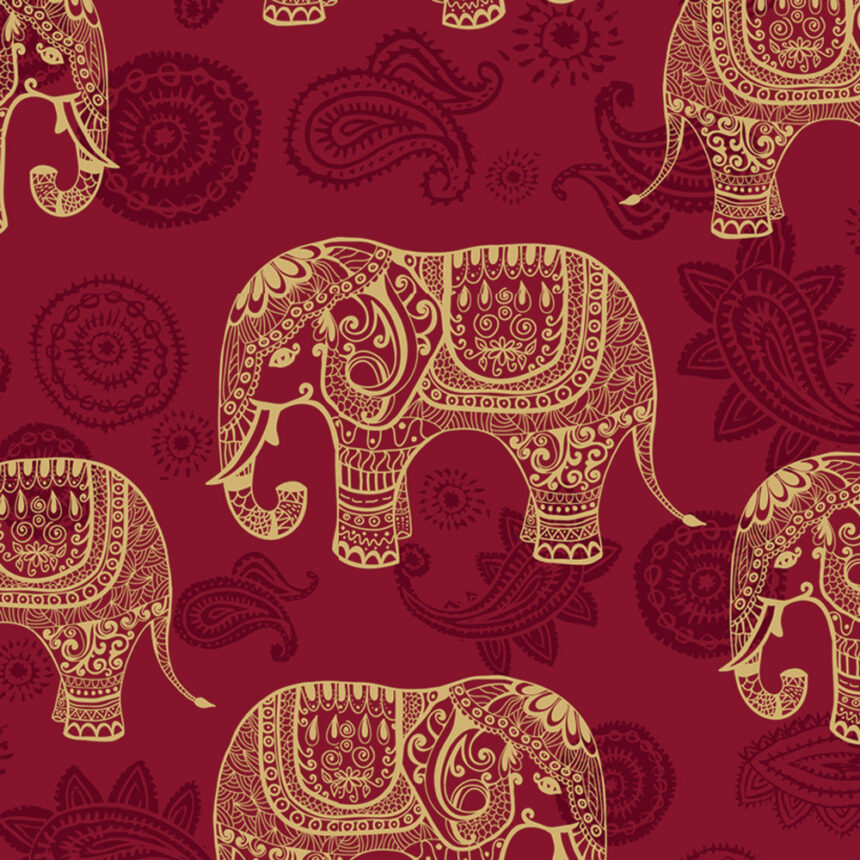 Elephant Pattern Wall,Cycling Art, wallpaper in jalandhar, wallpaper